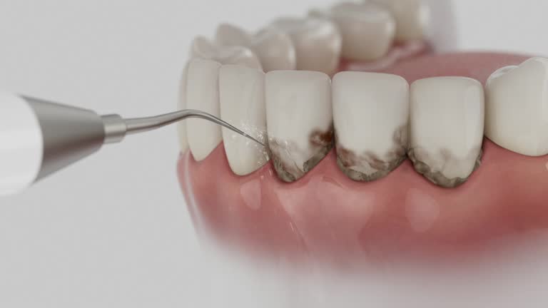 Reliable Dental contractor in Hillsborough, NC by Dentist Open Now